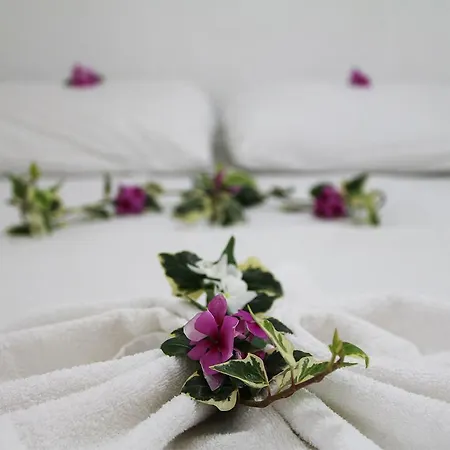 Okyanus Otel 2*